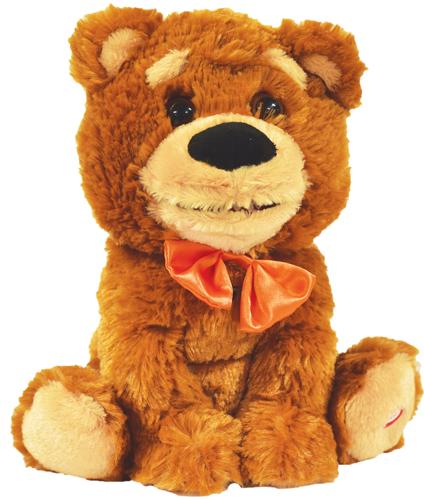 POSSESSED TEDDY BEAR