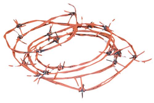RUSTED BARBED WIRE 97.5 FT