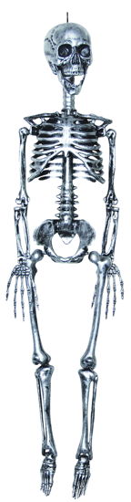 SKELETON STEEL GRAY 35 INCHES