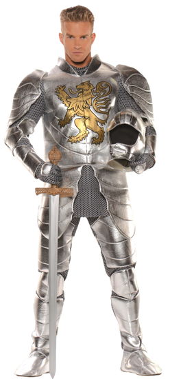KNIGHT IN SHINING ARMOUR ADULT